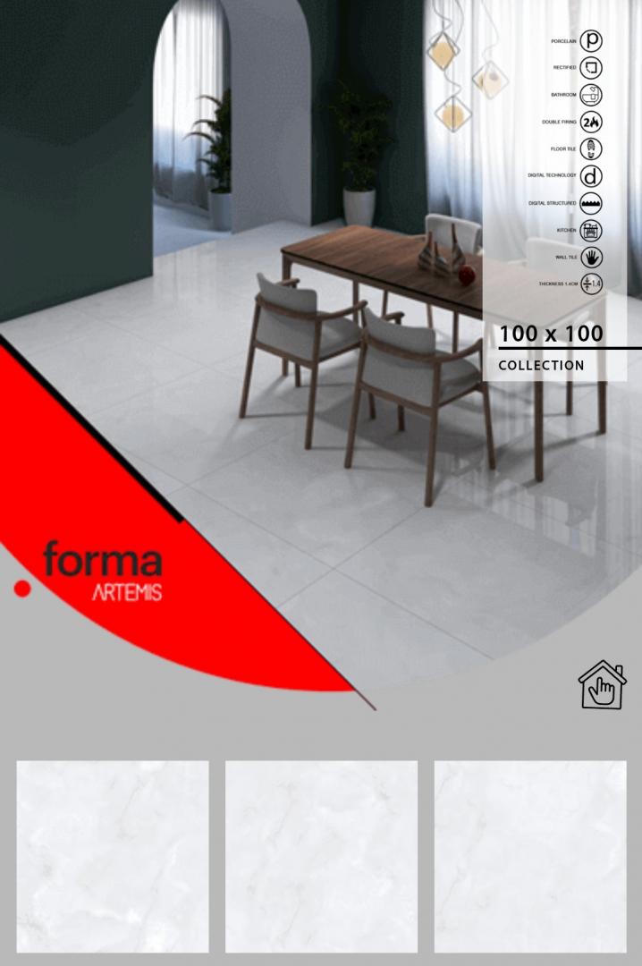 آرتمیس-پولیش-100.100