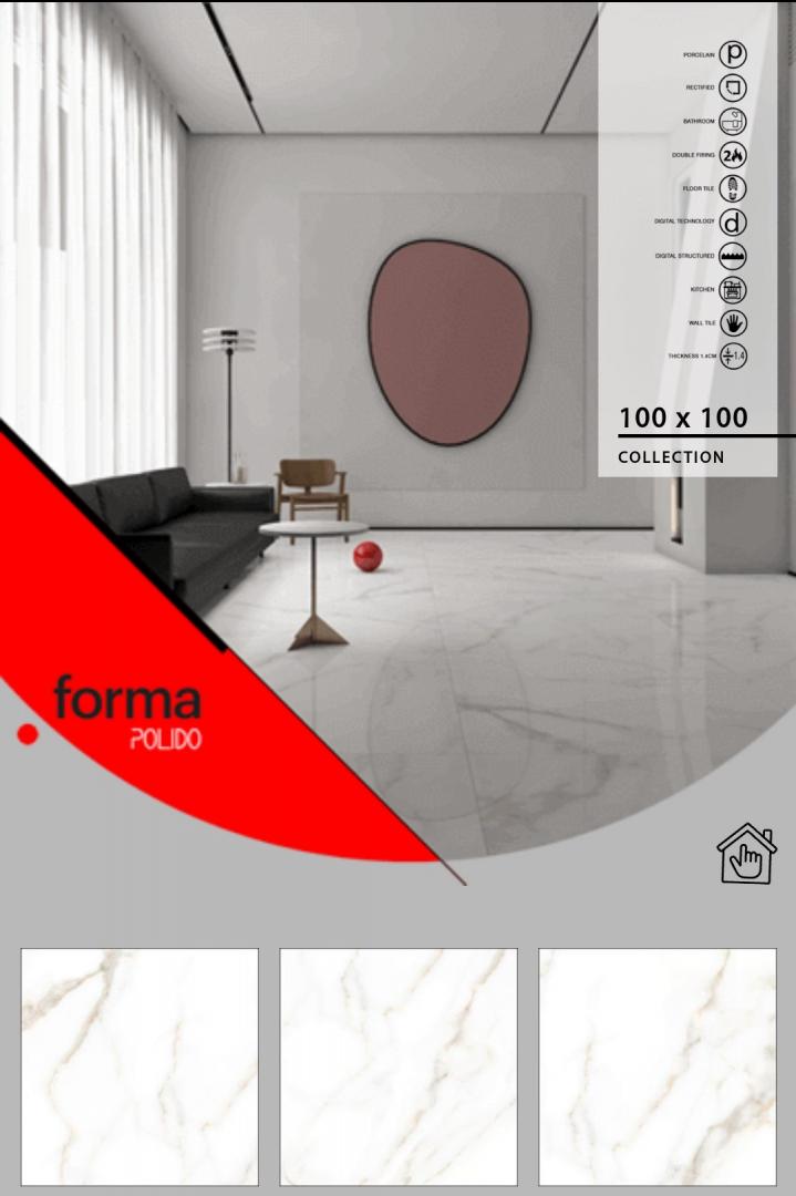 پولیدو-پولیش-100.100